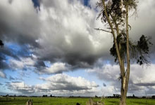 开云平台-英超争冠焦点战启示录，从吉林队争冠战胜出上海队看竞技体育的终极魅力