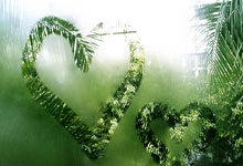 开云体育在线-世界杯之夜，罗德里，那个改写历史的男人